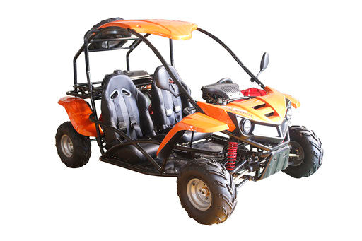 go cart /t-rex125